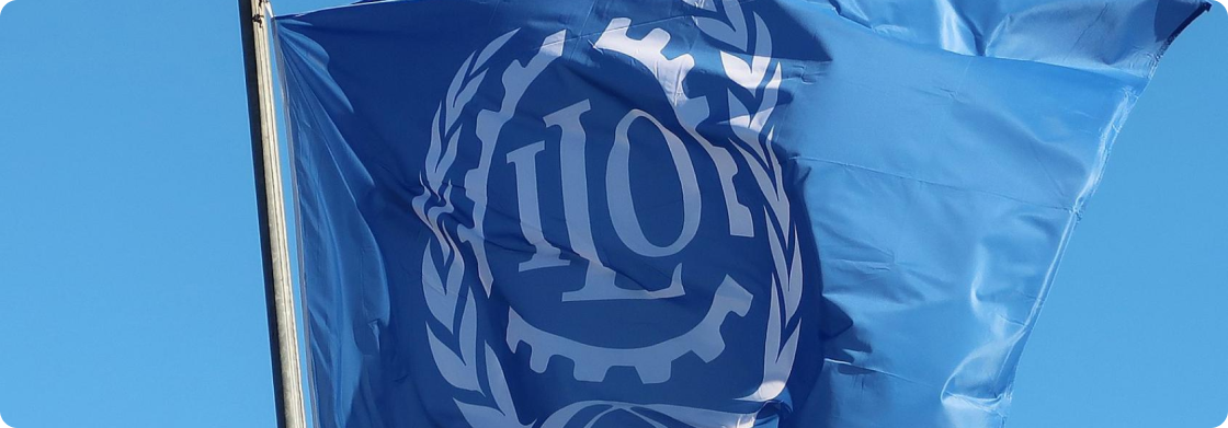 International Labour Organization (ILO) project