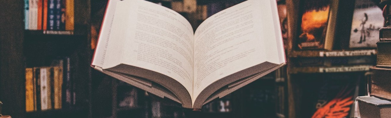 Summer Training: ASP.NET Core 10