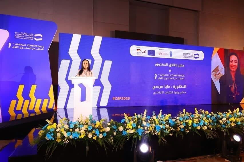 Launch of the Civil Society Support Fund Digital Platform